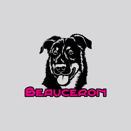 Beauceron