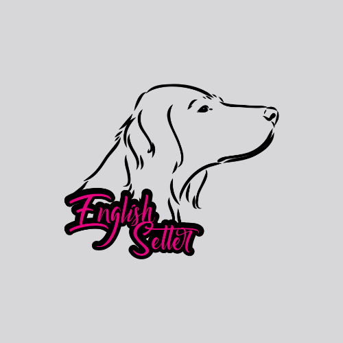 English Setter