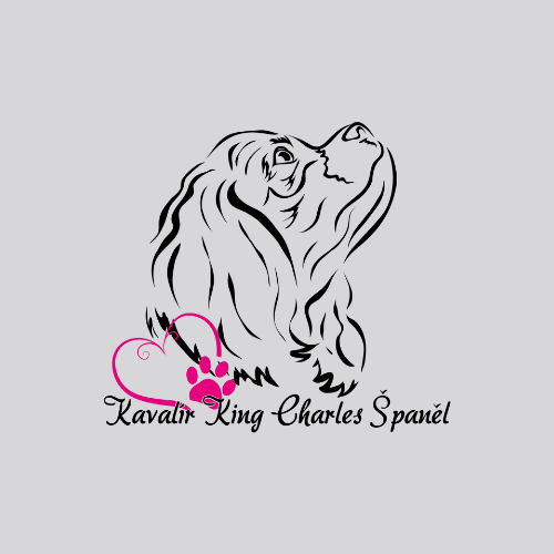 Kavalír King Charles Španěl