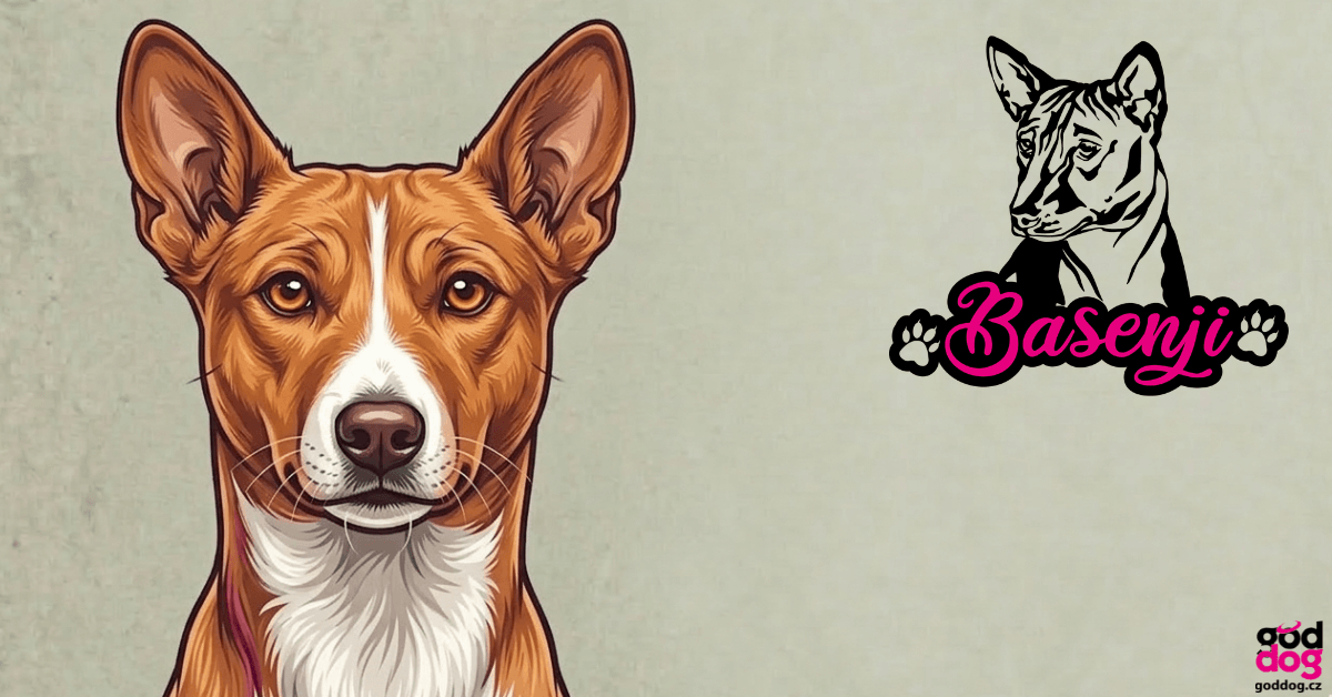 Basenji
