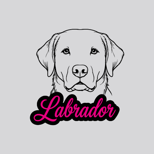 Labrador
