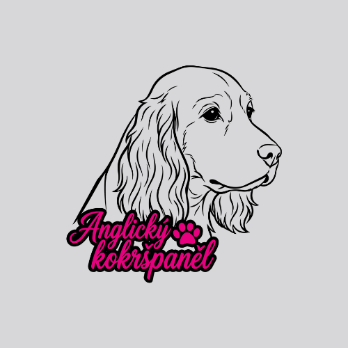 Anglický kokršpaněl
