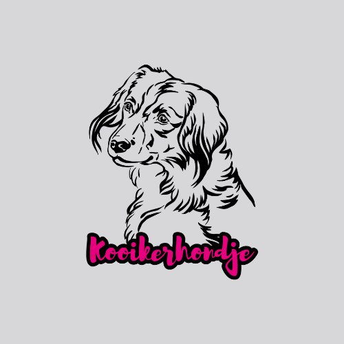 Kooikerhondje