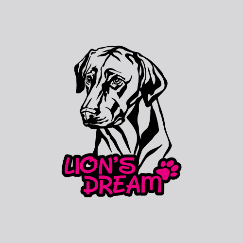 Lion's Dream