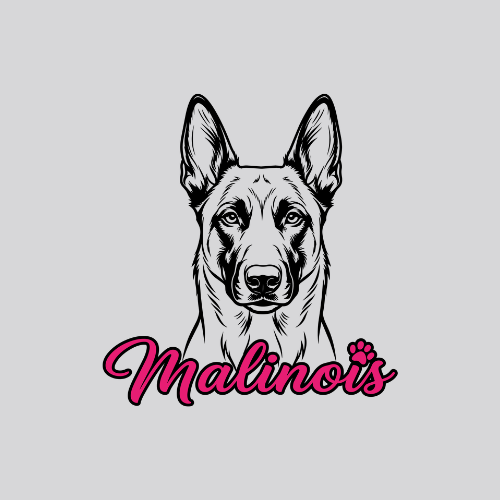 Malinois