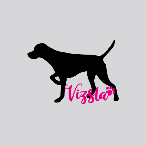 Vizsla
