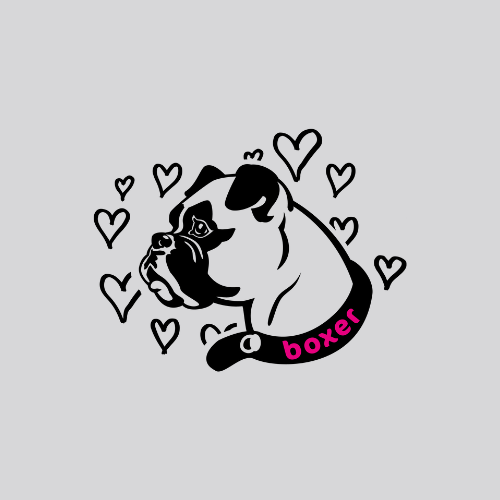 Boxer