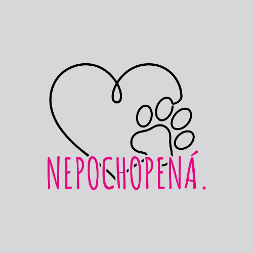 Nepochopená