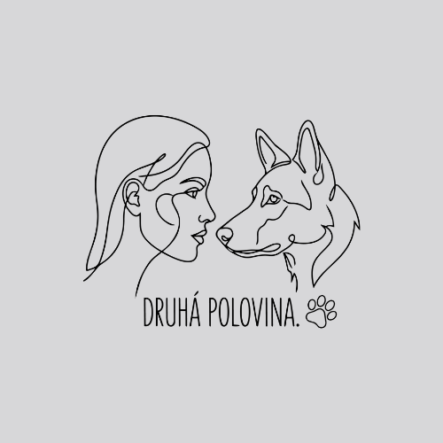 Druhá polovina