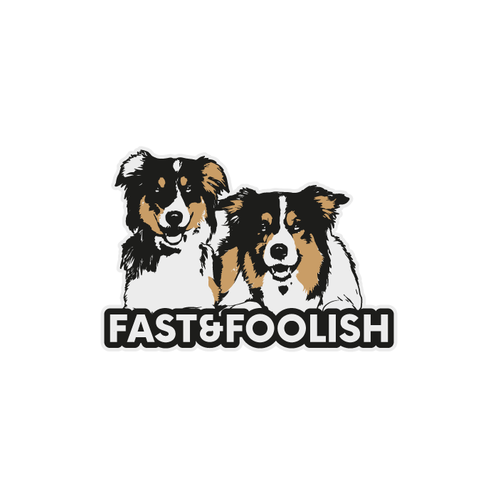 Fast and Foolish